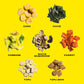 Ramen Vegetable Mix, 13 Oz, Carrots, Cabbage, Chives, Corn, Mushrooms, Tofu Cubes, Tofu Skin, Flavorful Vegetable Topping For Cu
