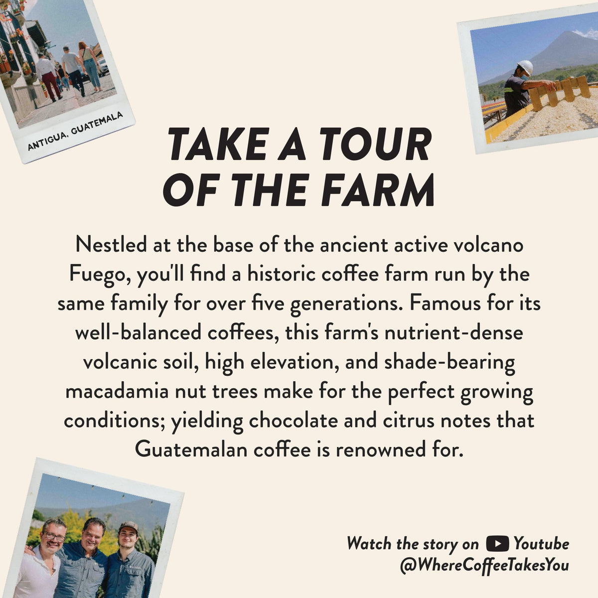 Angelinos Coffee Breakfast Blend, Medium Roast, 12oz Whole Bean, Guatemalan Coffee with Chocolate & Caramel Notes