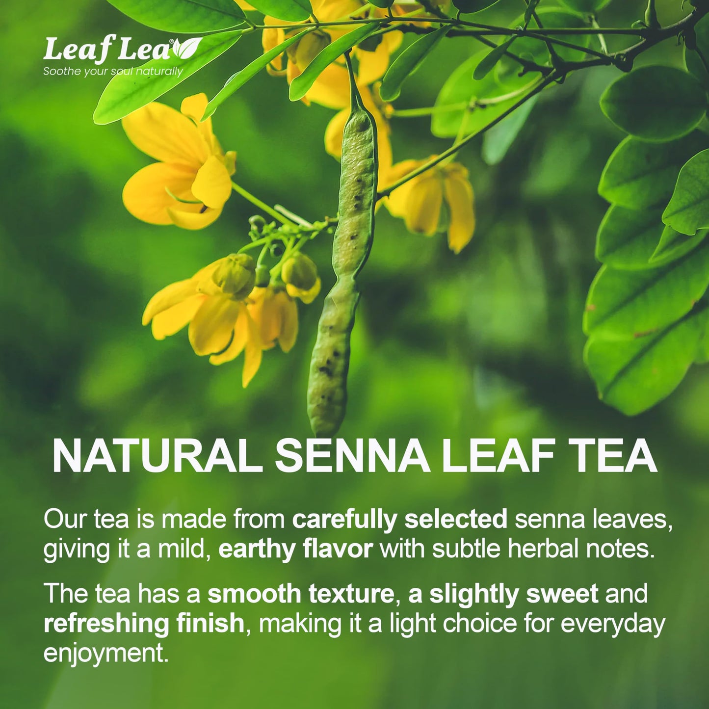 LeafLea Herbal Laxative Tea Bags, Caffeine-Free, Sugar-Free, Vegan, 80 Bags (Pack of 2)