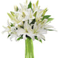 KaBloom Flowers - Pure Love White Lily Bouquet of White Lilies, 10 Count without Vase - Gift for Birthday, Sympathy, Anniversary, Get Well, Thank You, Valentine, Mother’s Day Fresh Flowers