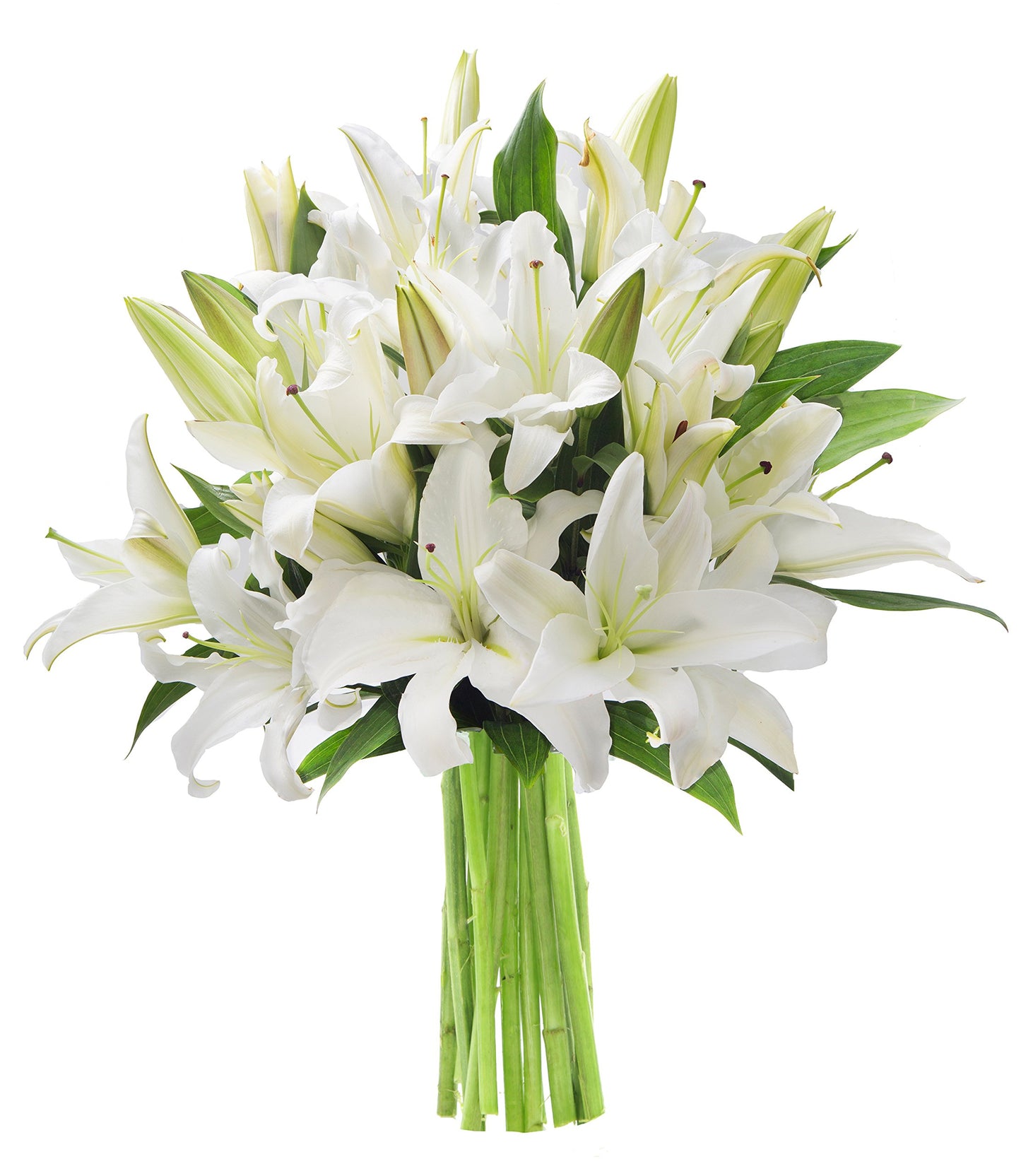 KaBloom Flowers - Pure Love White Lily Bouquet of White Lilies, 10 Count without Vase - Gift for Birthday, Sympathy, Anniversary, Get Well, Thank You, Valentine, Mother’s Day Fresh Flowers
