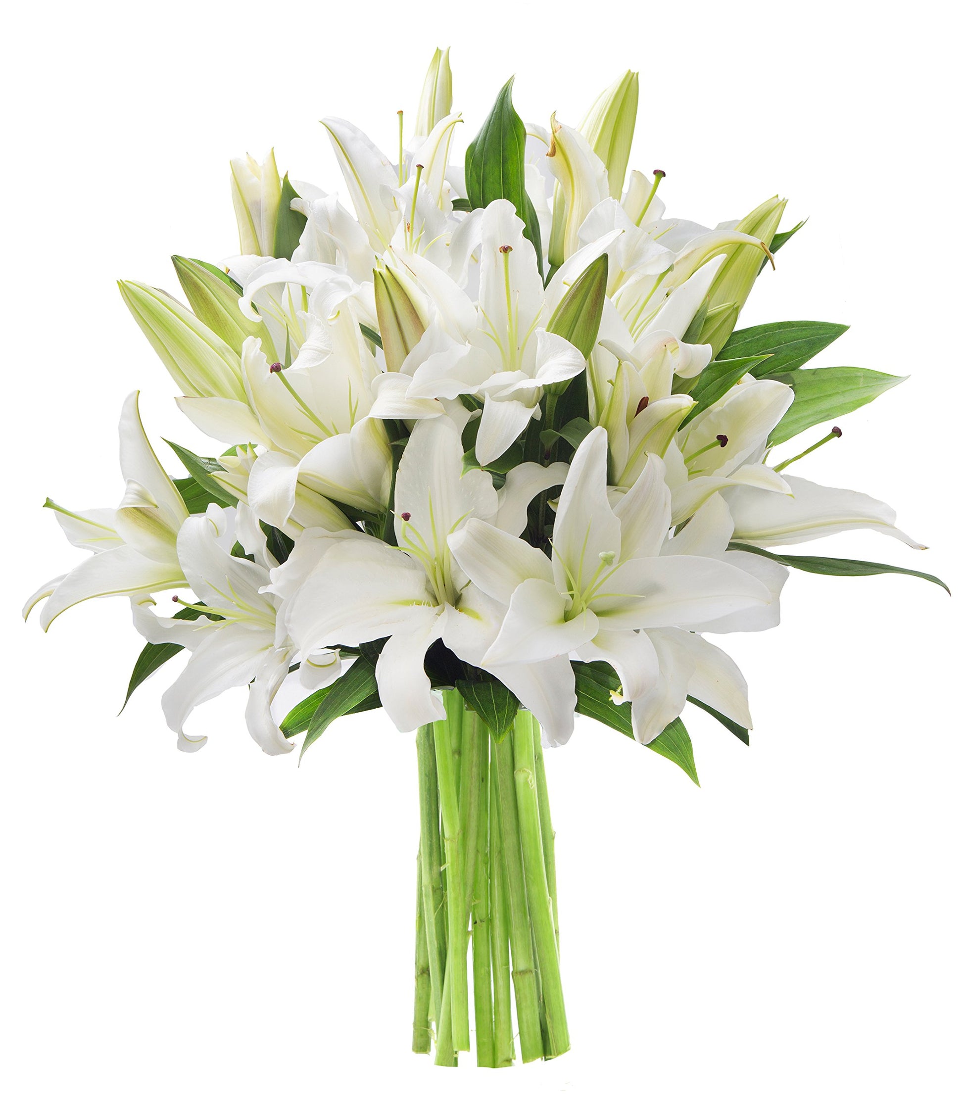KaBloom Flowers - Pure Love White Lily Bouquet of White Lilies, 10 Count without Vase - Gift for Birthday, Sympathy, Anniversary, Get Well, Thank You, Valentine, Mother’s Day Fresh Flowers