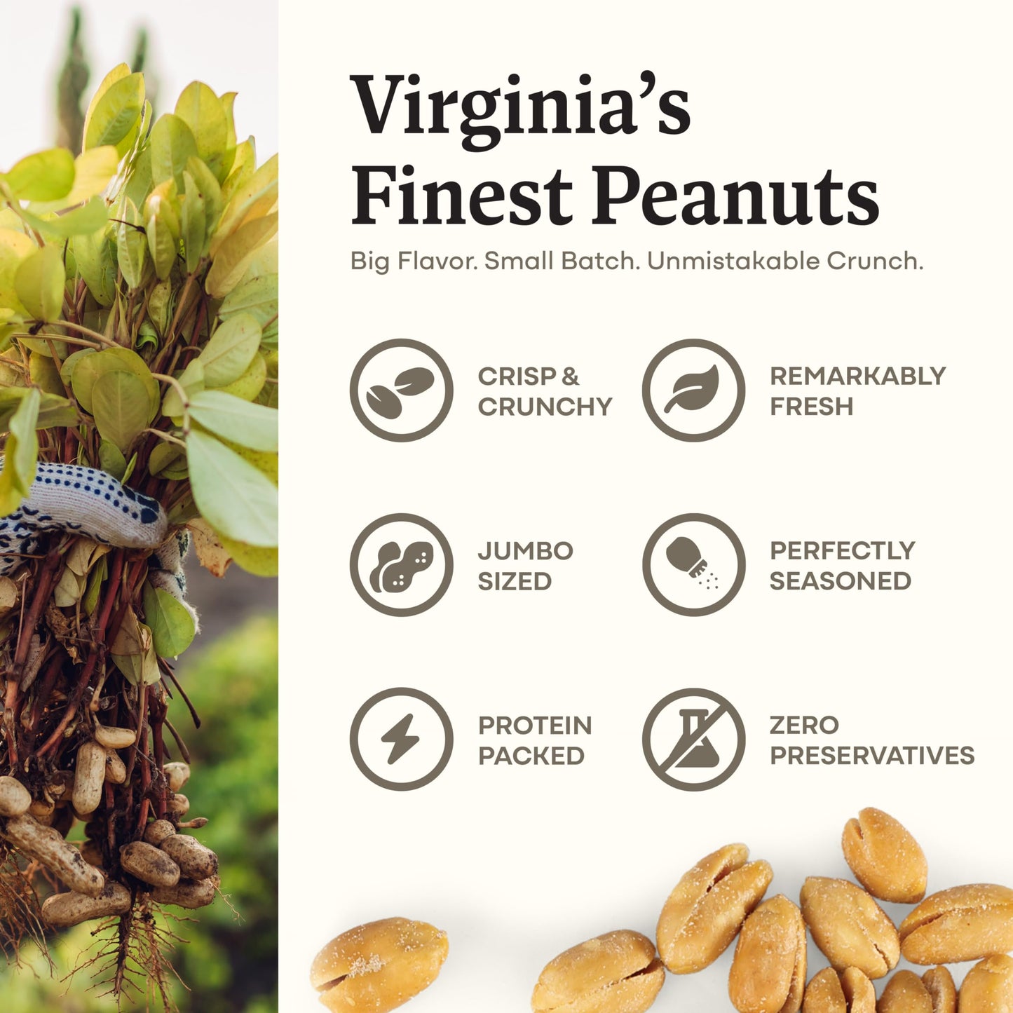 Belmont Peanuts Holiday Gift Bundle With Sea Salt And Butter Toffee Virginia Peanuts, 20 Oz (2 Pack) – Hand Seasoned, No Preservatives, Absolutely Delicious – A Secret Santa Favorite
