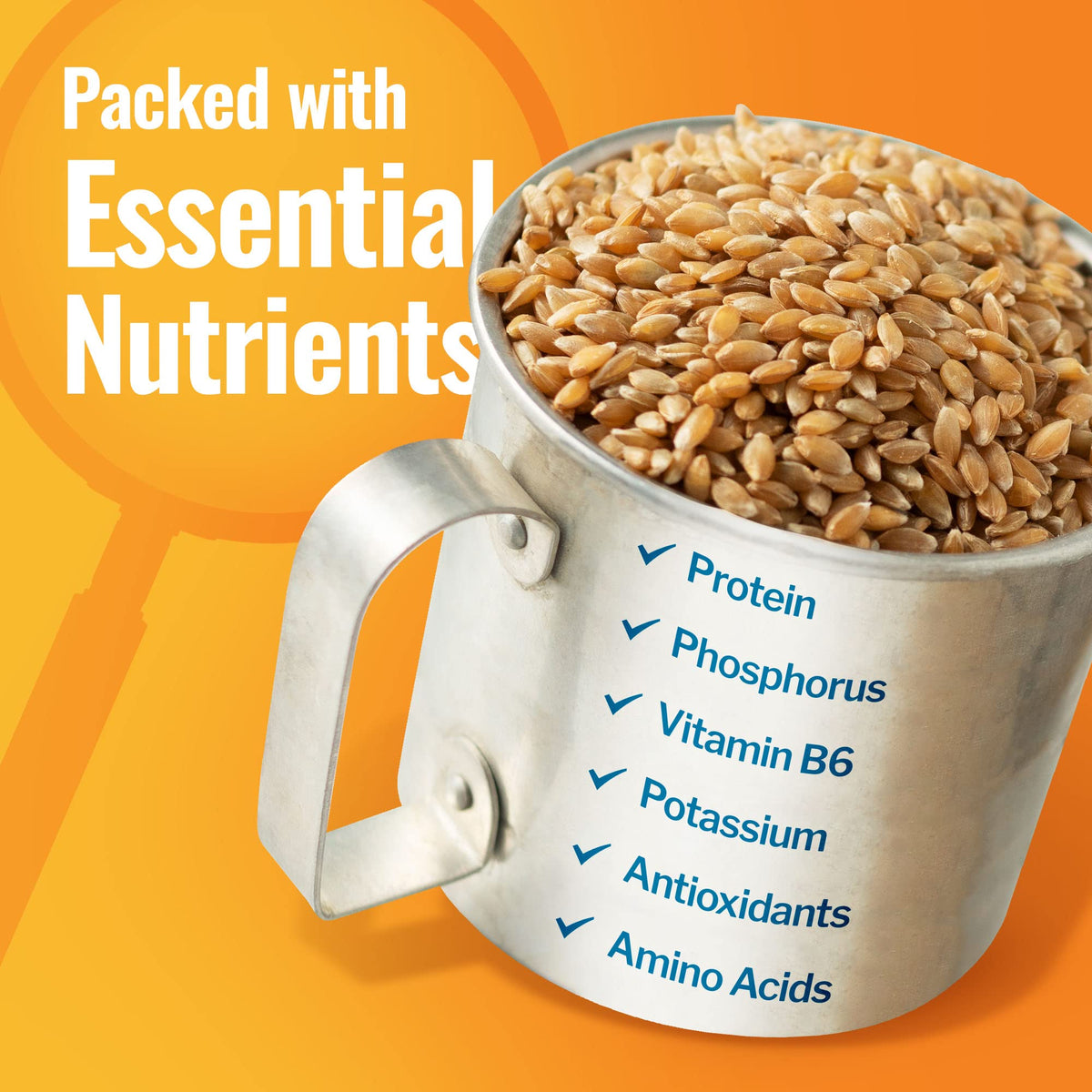 Grand Teton Organic Einkorn Berries, Premium Farro Piccolo, 25 lbs