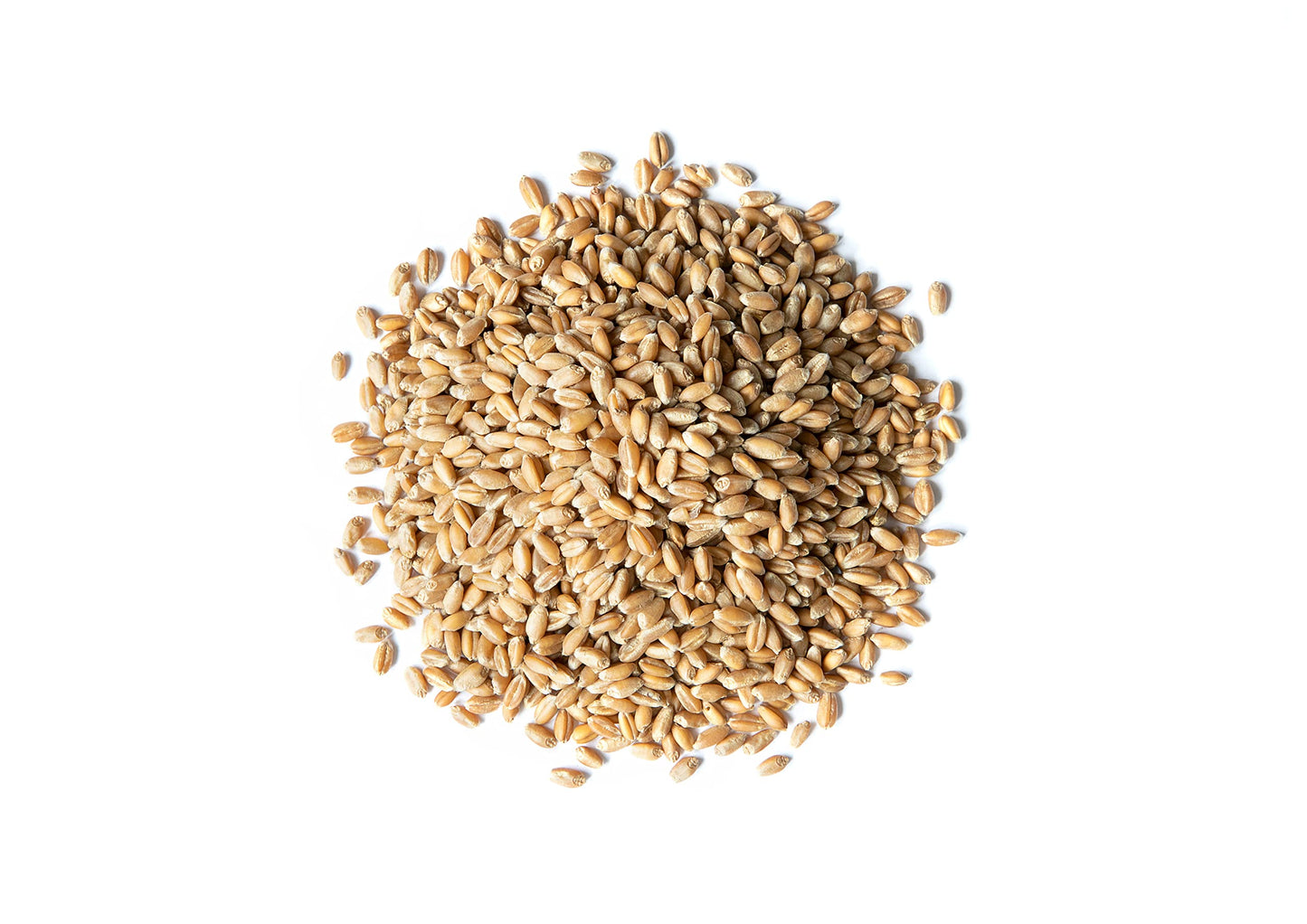 Food To Live - Organic Hard Red Wheat Berries, 10 Pounds Non-Gmo, Kosher, Raw, Sproutable, Vegan, Sodium And Sugar Free