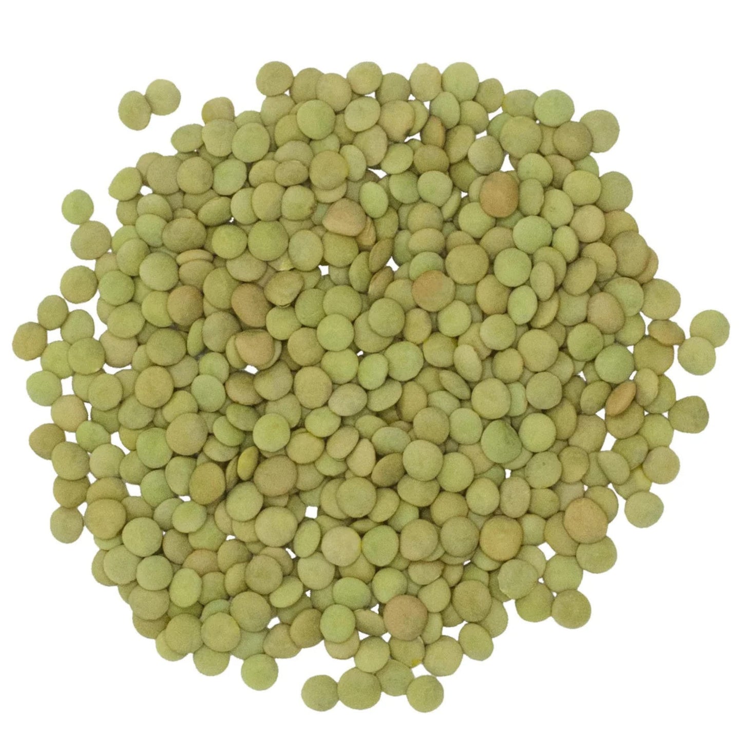 Rani Masoor Whole (Green Lentils Whole With Skin) 400Oz (25Lbs) 11.36Kg Bulk Box ~ All Natural | Vegan | Gluten Friendly | Non-G