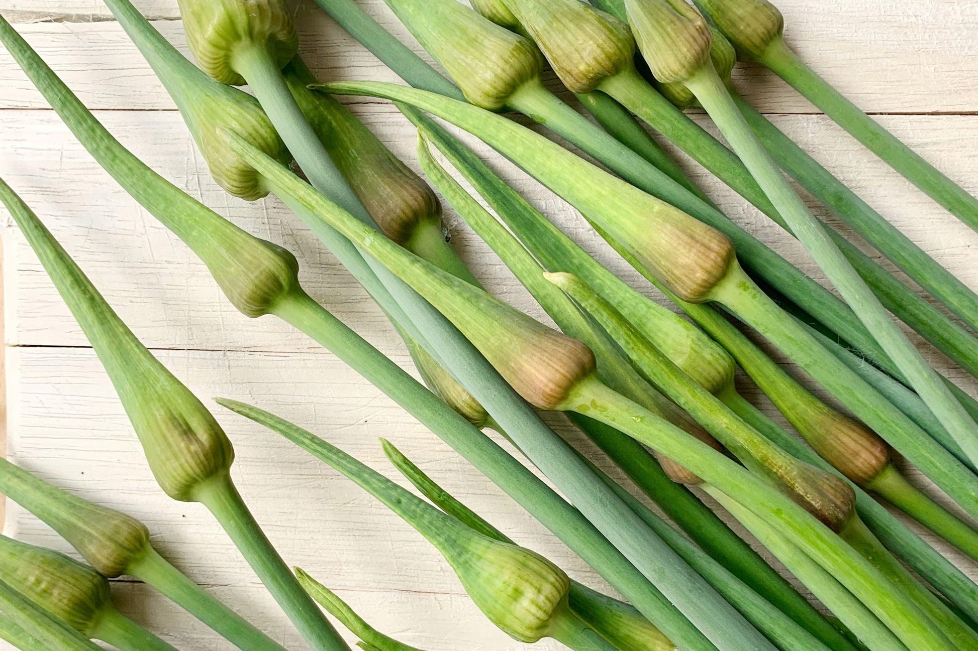 Fresh Garlic Scapes by RawJoy Farm (4 Pound)