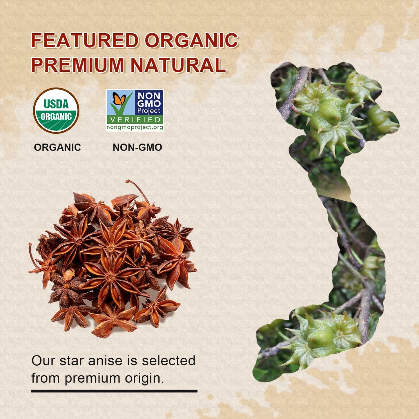 52USA Organic Star Anise, 16 Ounce (Pack of 1), NON-GMO Verified Chinese Star Anise Whole, Dried Star Anise Pods for Tea and bak