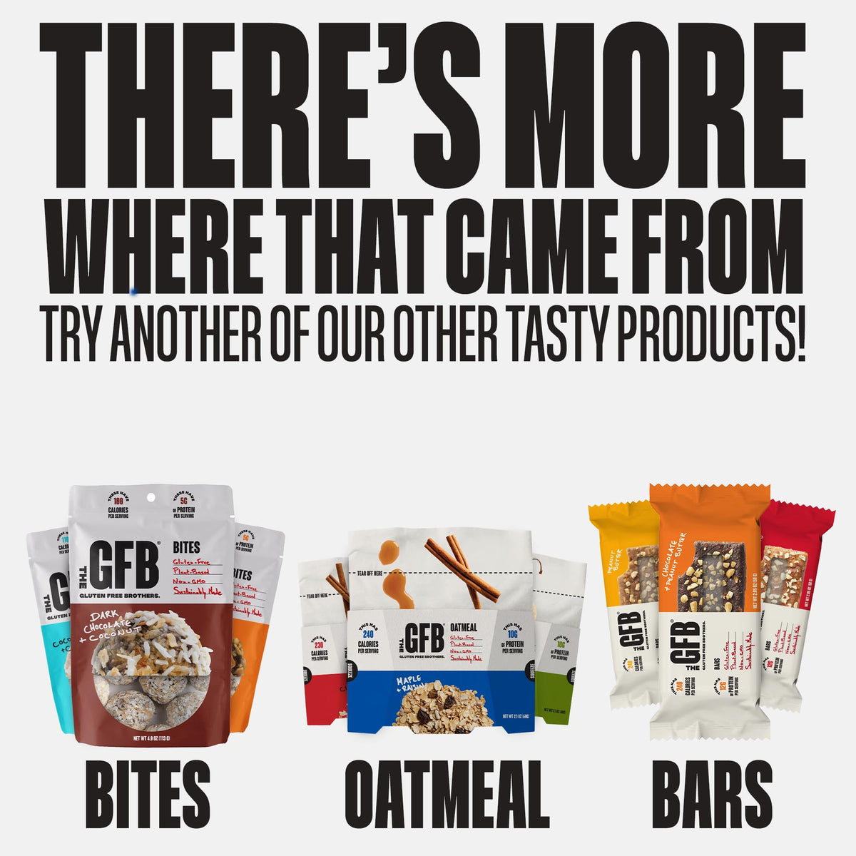 The Gfb Fudge Brownie Cookie Protein Bites - Allergen Friendly & Nut Free - Gluten Free, Plant Based, Non Gmo, Sustainably Made – Ridiculously Tasty, Healthy, Protein Energy Balls, 4 Oz (6 Count)