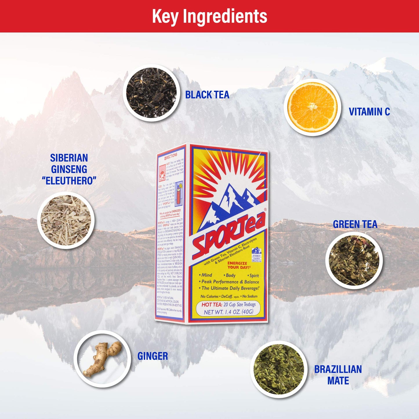 SPORTea Hot | Natural Decaf Energy Drink w/Yerba Mate, Siberian Ginseng, Green & Black Tea, Electrolytes | Stress Fighter | Heal