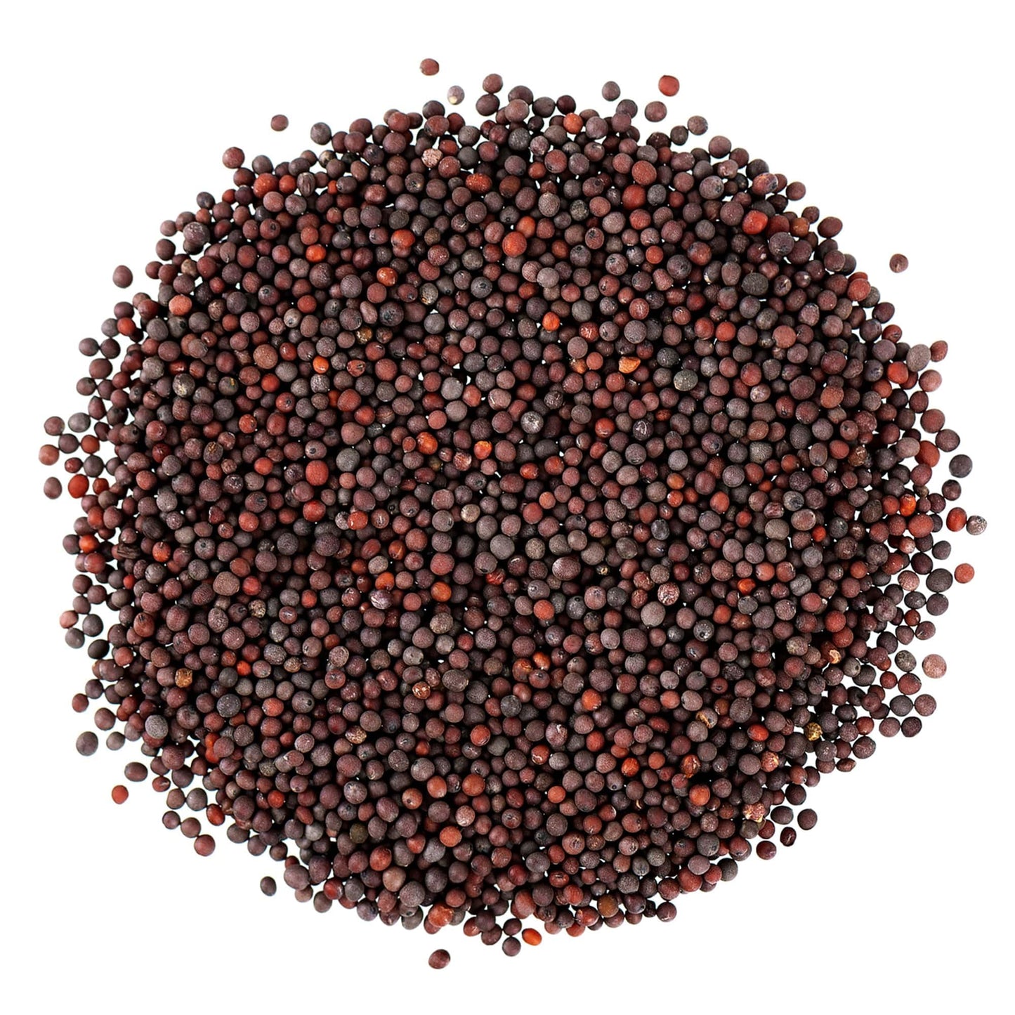 Food To Live Organic Brown Mustard Seeds, 10 Pounds - Non-Gmo. Great For Sprouting, Pickling And Cooking. Non-Irradiated. Bulk.
