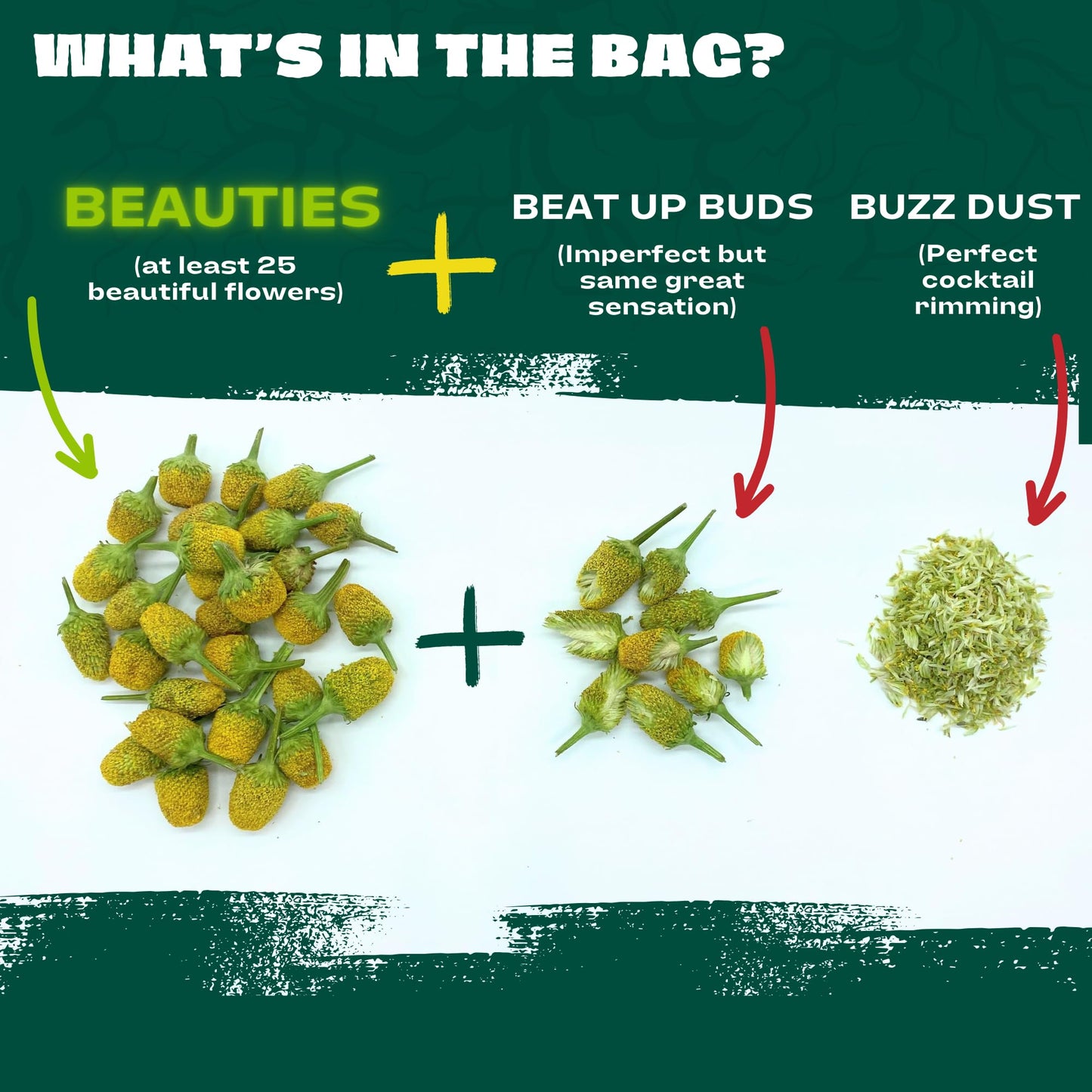 Buzz Buttons Edible Flowers For Cocktails | Grown In USA | Spilanthes | Freeze Dried Edible Flowers for Drinks | Szechuan Buttons | Edible Dried Flowers For Drink Garnish | .2oz Pouch
