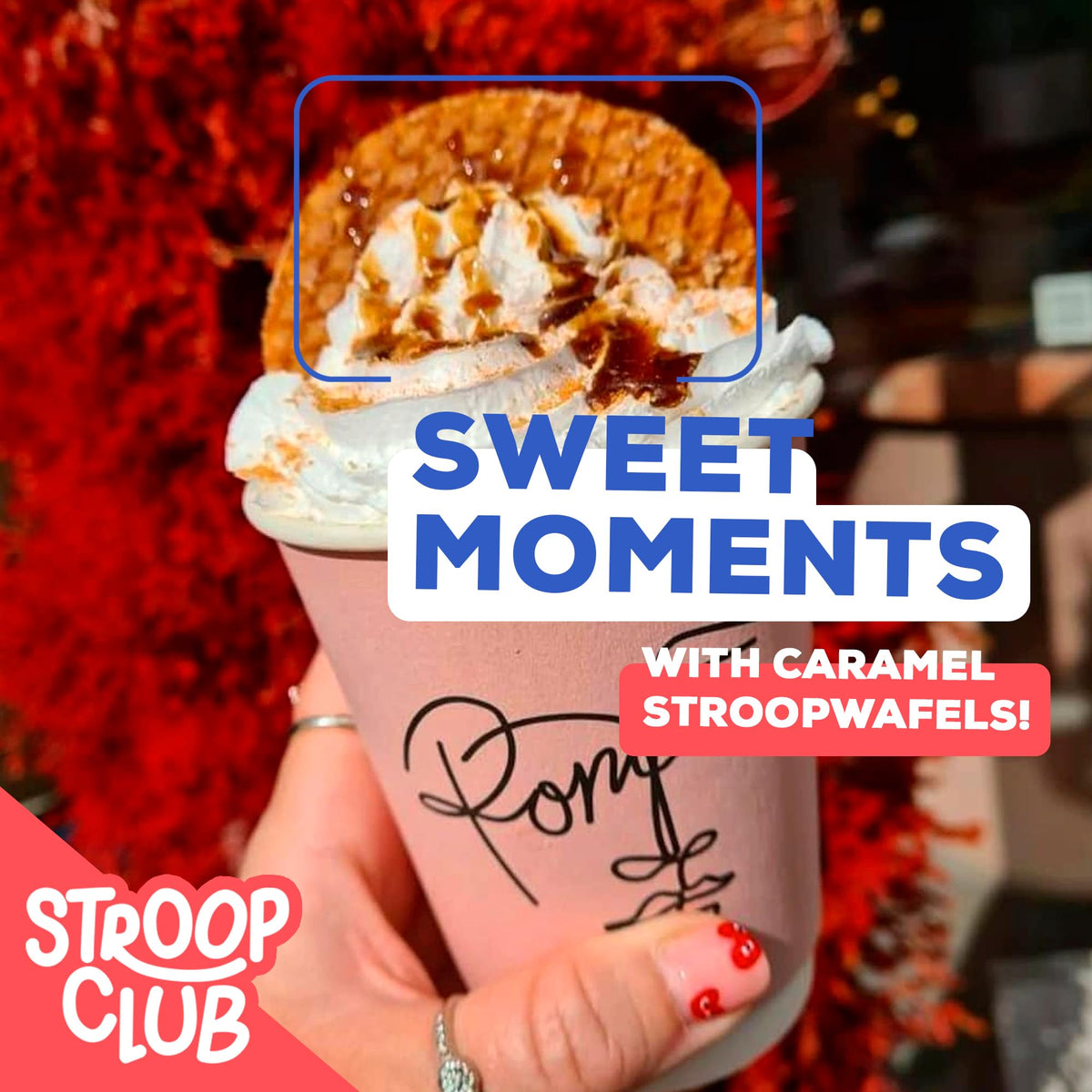 Stroop Club Traditional Organic Stroopwafel Caramel Treats | Vegan, Plant-Based and Dutch-Approved Indulgence - 24 Vegan Waffle