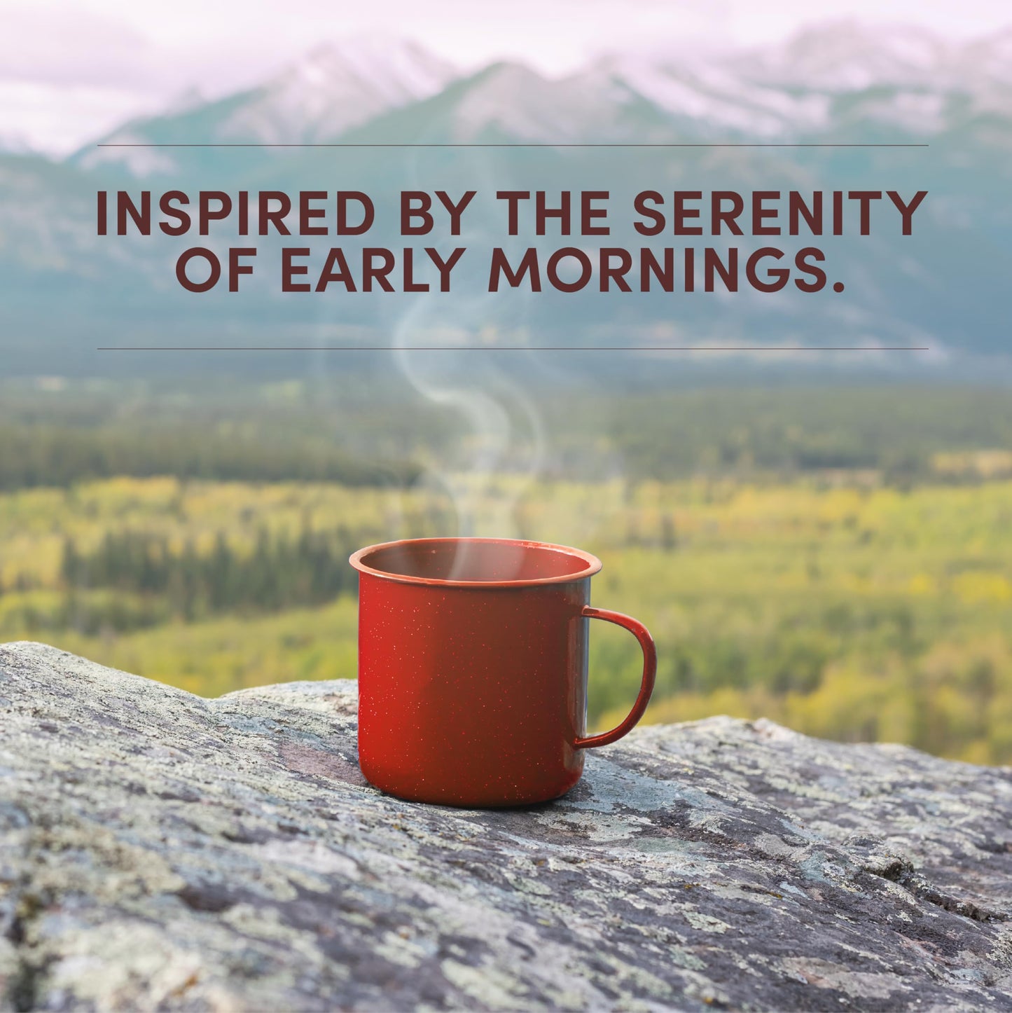 Tim Hortons 12oz Ground Bag  Light Roast Rocky Mountain Sunrise 100% Arabica Coffee