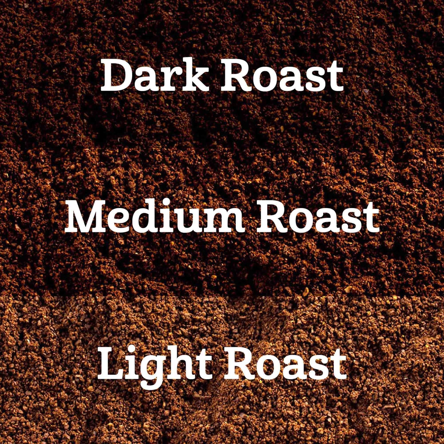 large online retailer Fresh Espresso compact pieces Variety Pack, Compatible with Nespresso Original malt-inspired, 100 Count (10 Packs of 10)