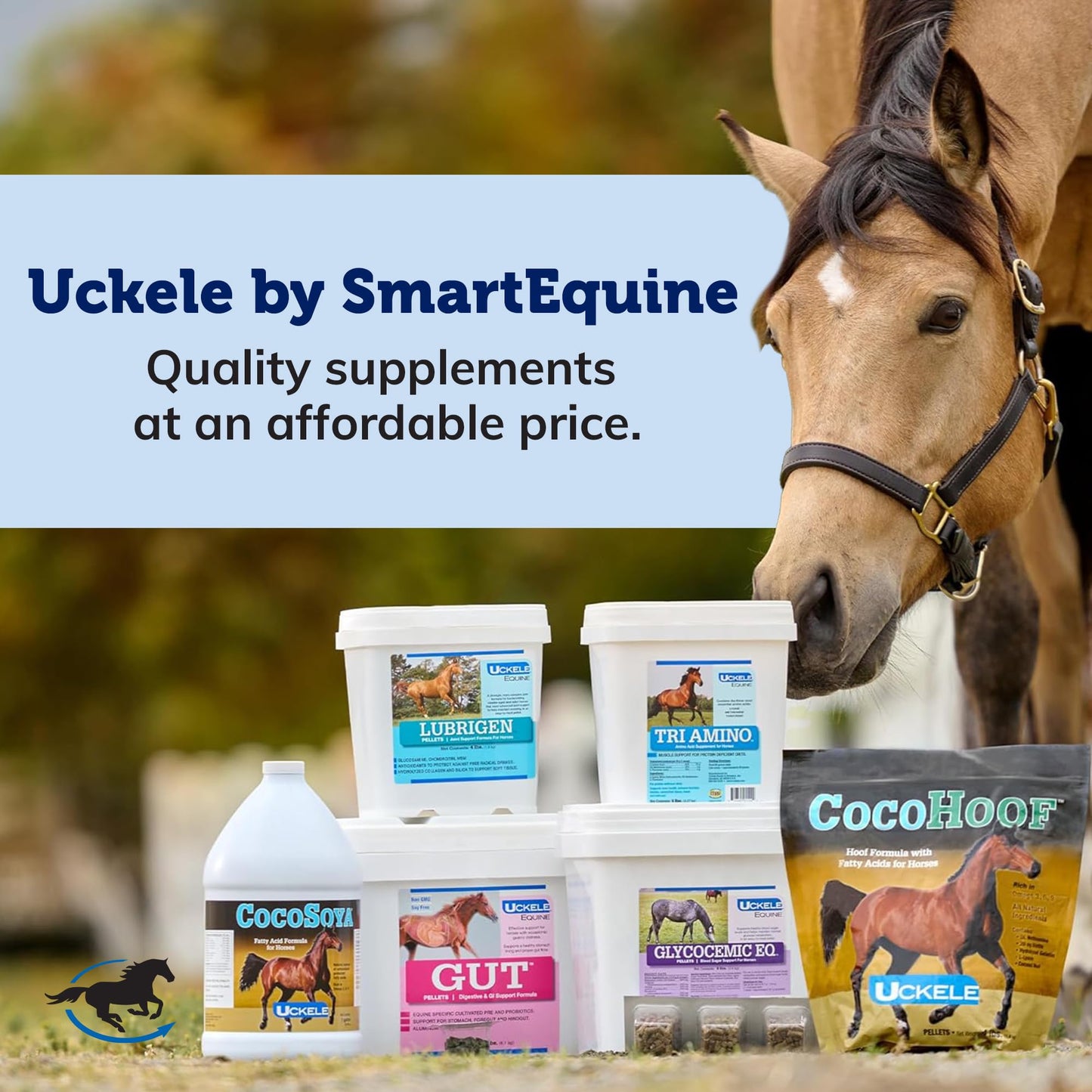 Smartequine Cocosoya Oil | Oil For Skin And Coat | Contains Soybean And Coconut Oil For Overall Coat Shine And Horse Health | Nourishing Fatty Acids For A Lustrous Appearance | 1 Gallon