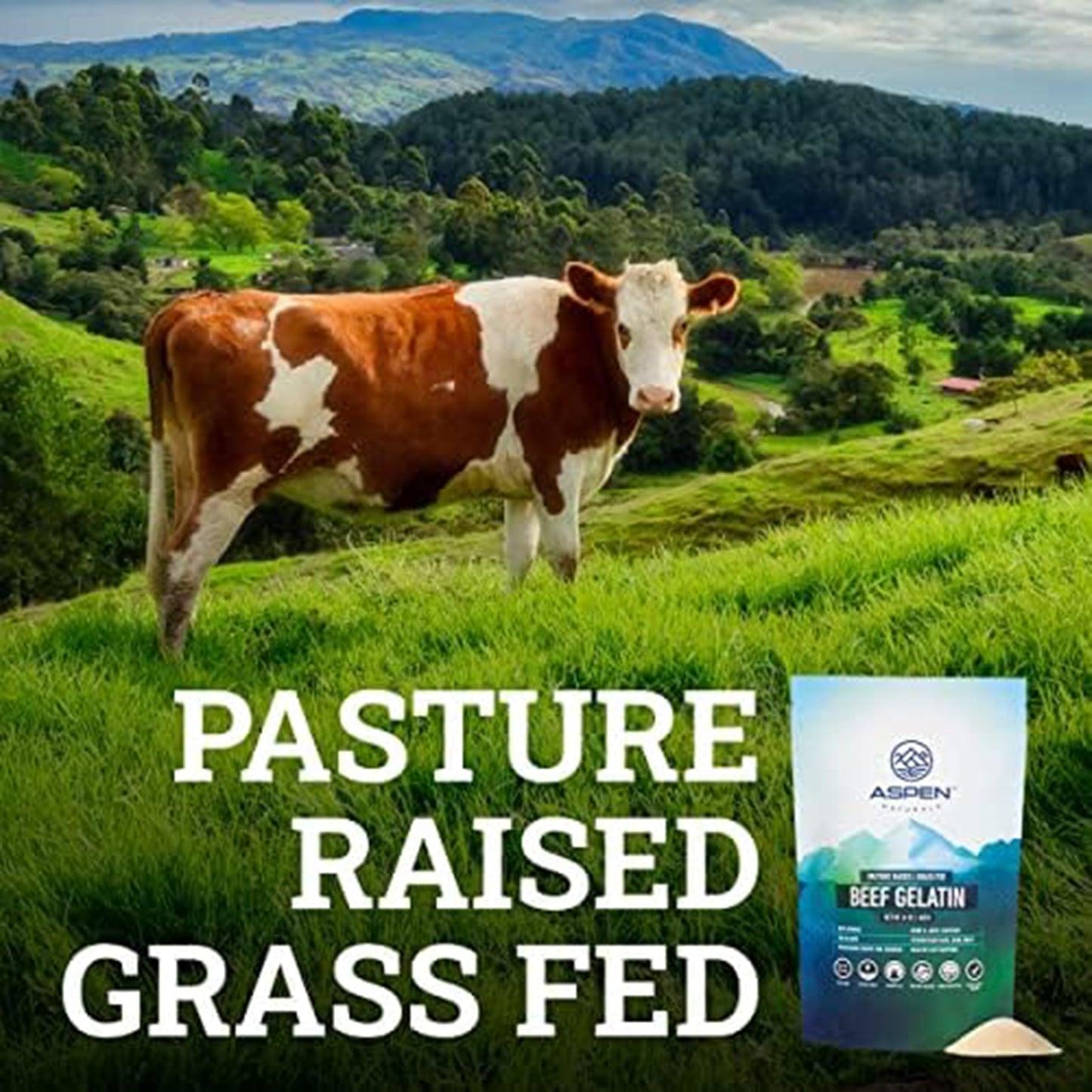 ASPEN NATURALS Grass Fed Beef Gelatin Powder, Unflavored, Non-GMO, Paleo Friendly, 24 oz (1.5 lb)