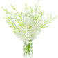 KaBloom PRIME NEXT DAY DELIVERY - Fall Collection - Exotic Perla Orchid Bouquet of Fresh Orchid with Vase.Gift for Birthday  Get Well  Easter  Valentine  Mothers Day Fresh Flowers