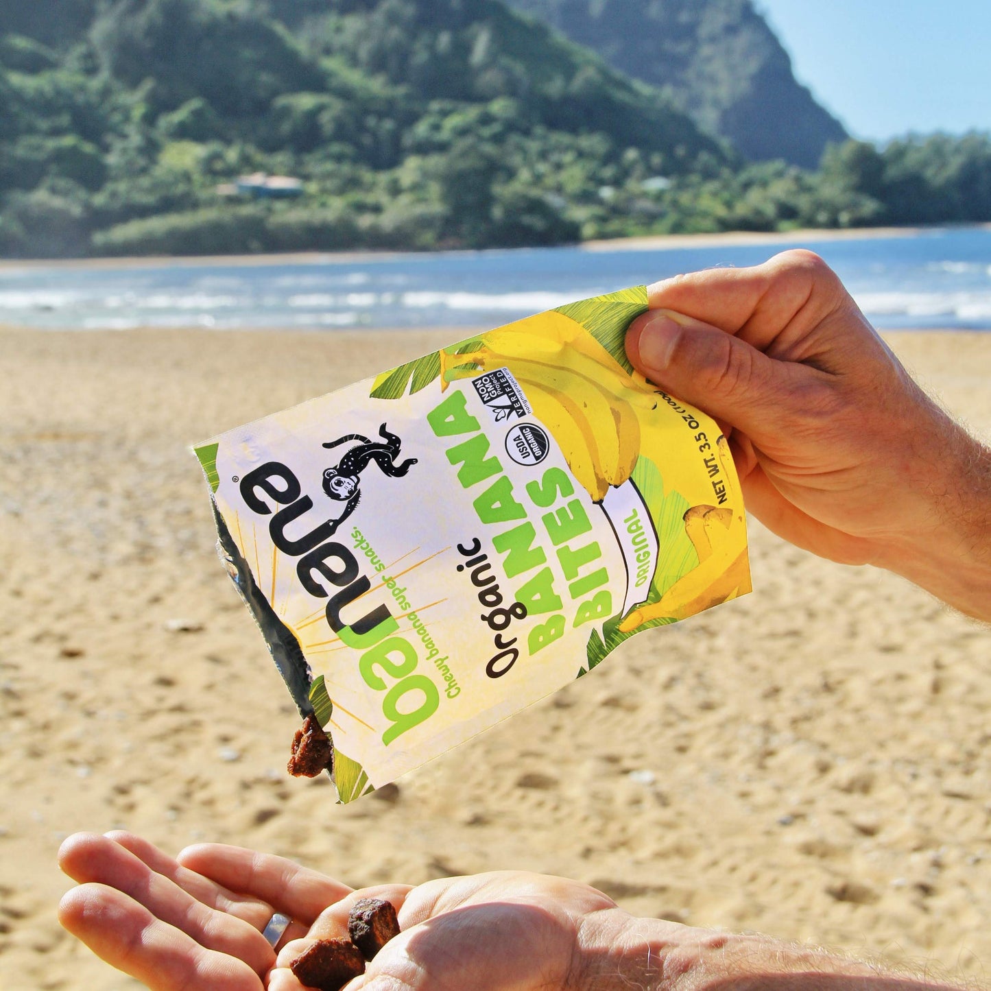 Barnana Organic Chewy Banana Bites, Original, 3.5 Ounce (Pack of 1) - Model 755801
