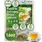 40 Premium Soursop Graviola Leaf Tea Bags, 100% Natural and Pure from Soursop Leaves, Handmade, Made With Natural Materials-Corn Fiber Tea Bag, Sugar/Caffeine/Gluten Free, Hoja Guanabana Tea