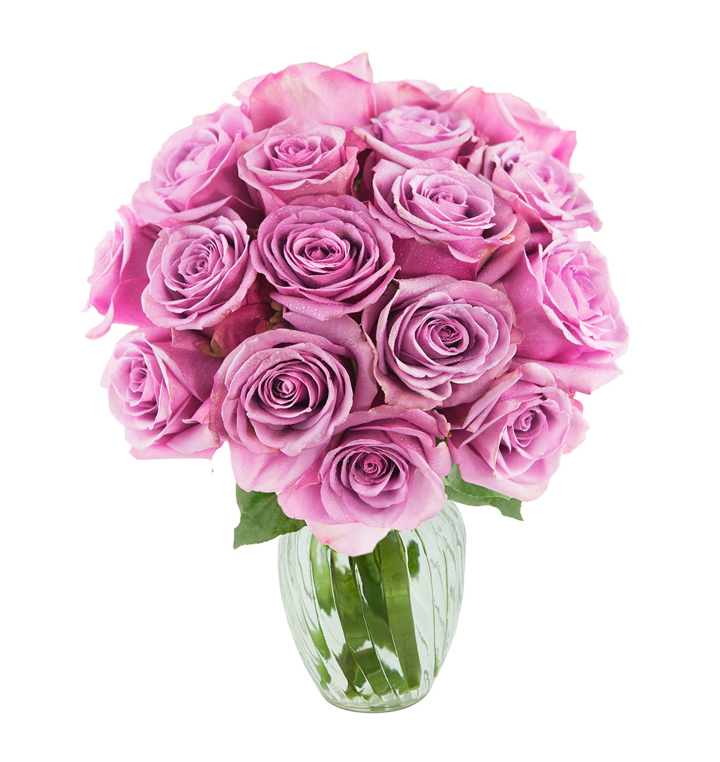 KaBloom PRIME NEXT DAY DELIVERY - Mothers Day Collection - Bouquet of 18 Fresh Purple Roses with Vase .Gift for Birthday  Anniversary  Get Well  Easter  Valentine  Mothers Day Fresh Flowers