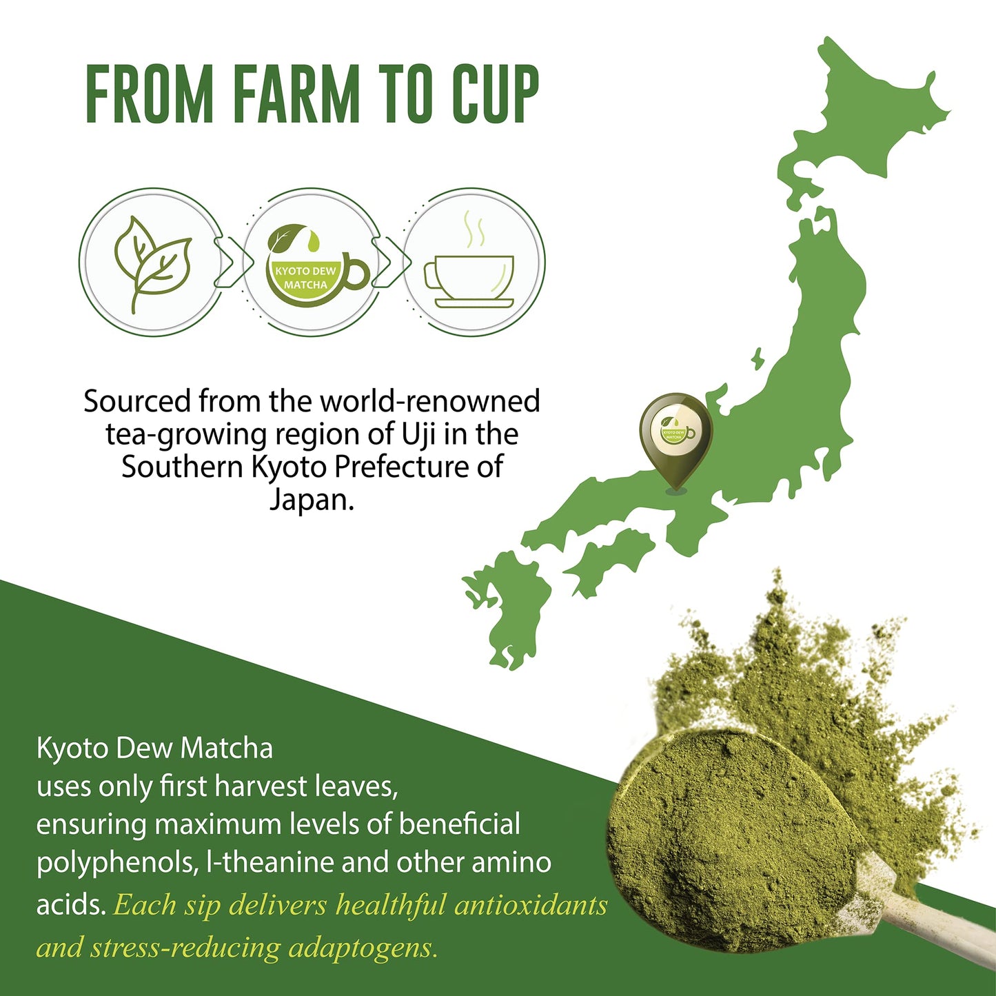 Kyoto Dew Matcha - 1 oz / 30g - USDA & JAS Organic enhanced Ceremonial Japanese Matcha Green Tea Powder - Stone-Ground First Harvest - Zero Sugar