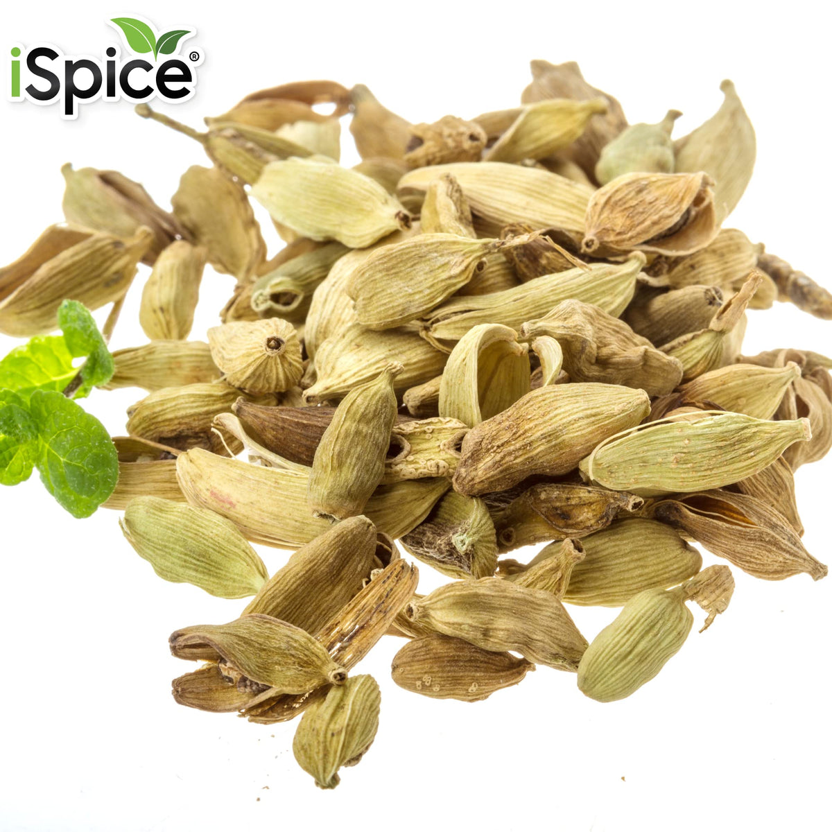 Ispice Premium Cardamom |Ground| Pure And Fresh, Aromatic |Essential Kitchen Herbs |5.35Oz (149G)