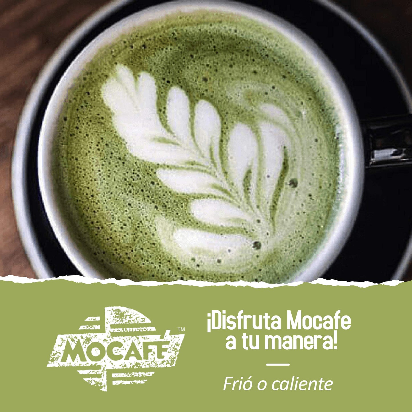 Mocaf   Matcha Green Tea case of 4 Bags Each 3 Pounds