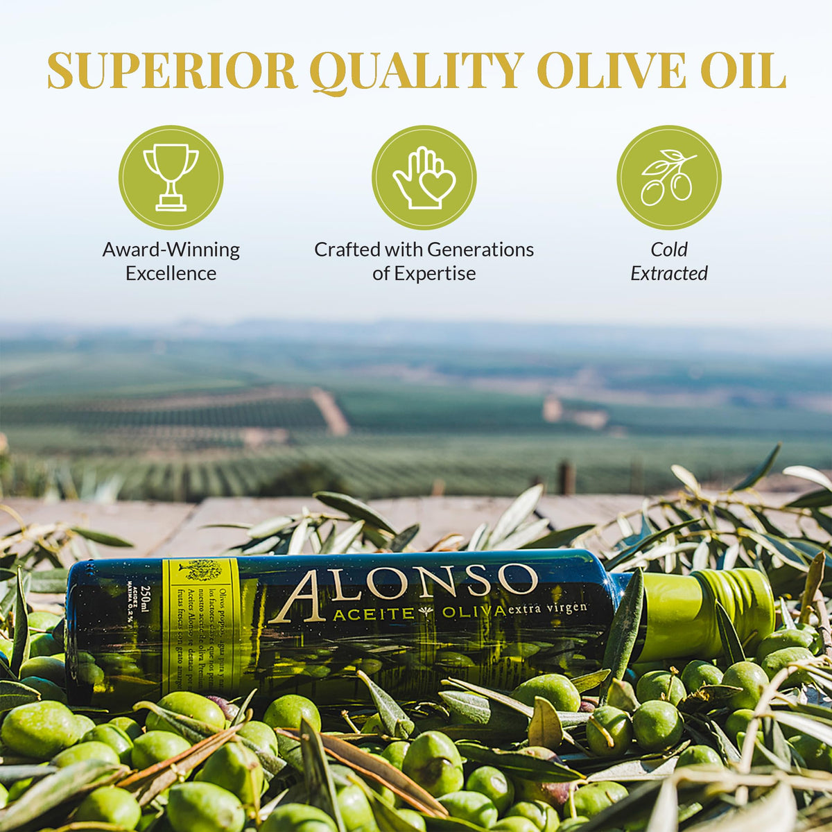 Alonso, Coratina Extra Virgin Olive Oil, Chile, Gold NYIOOC 2025, High Polyphenols 643 mg/kg, High Hydroxytyrosol, Single Source