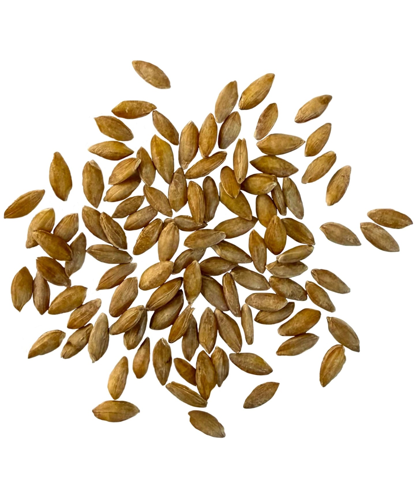 CLEAR CREEK Certified Glyphosate Residue Free Einkorn Wheat Berries | 18 lb bag | Non-GMO Project Verified