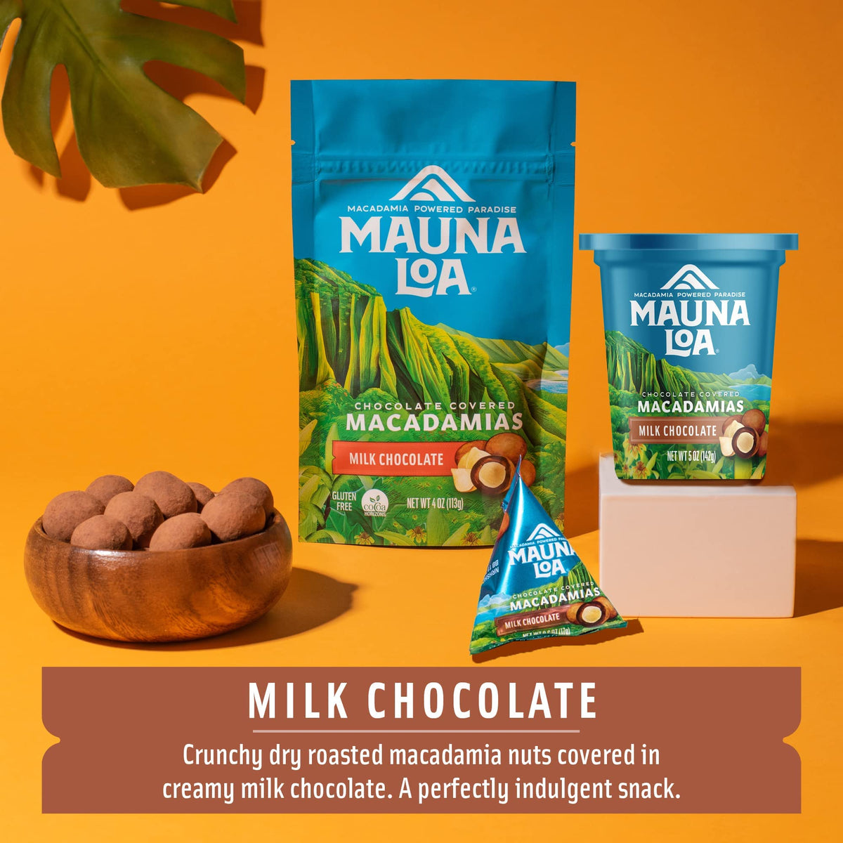 Chocolate Covered Macadamia Nuts, Milk Chocolate, Cocoa Dusted, .6 Oz Bag (Pack Of 24)