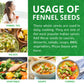 Jiva Organics Fennel Seeds - Non-GMO, Vegan, Resealable Bag - 7 Oz - Product of India
