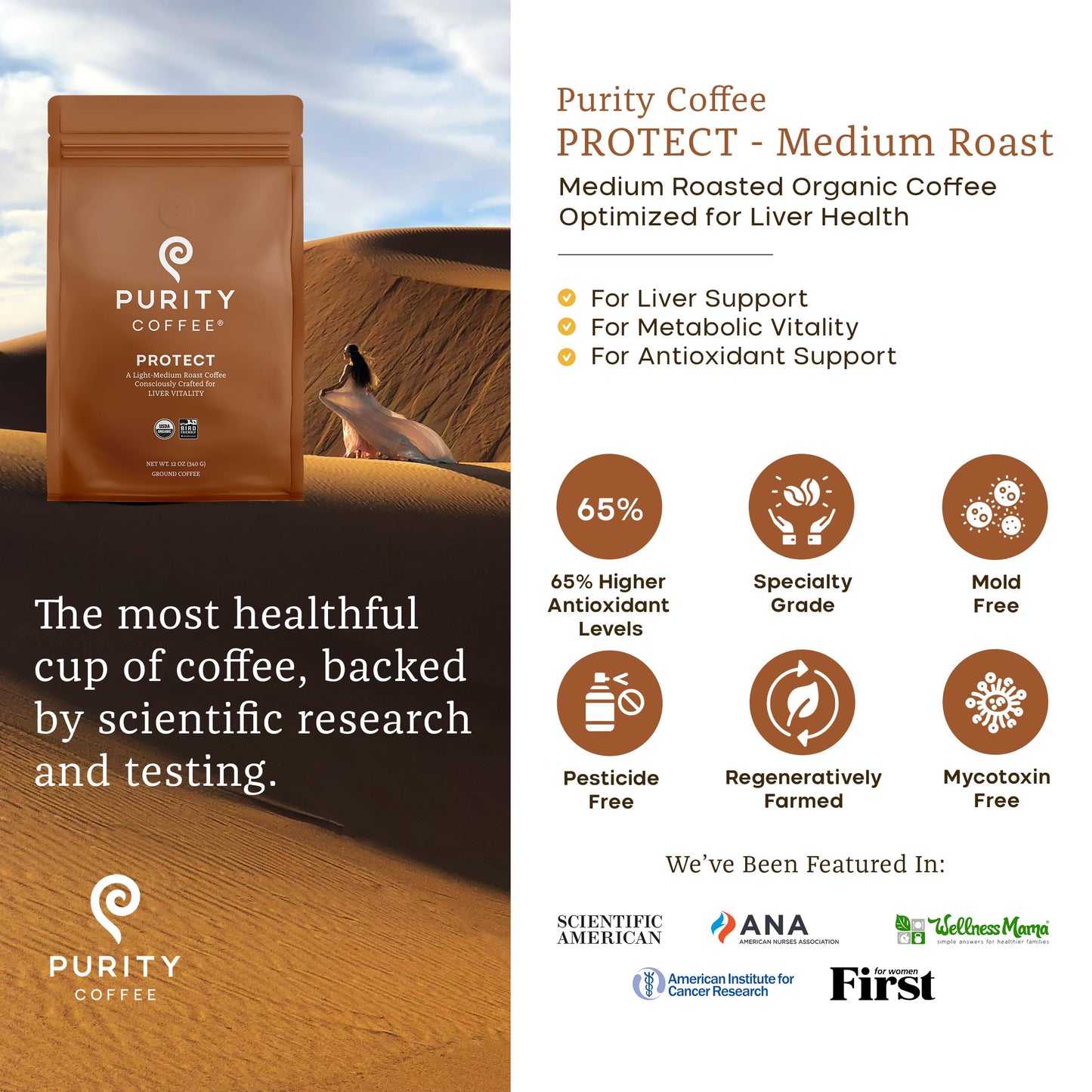 Purity Coffee PROTECT Light-Medium Roast Ground Coffee for Liver Vitality - USDA Organic and Third-Party Tested for Antioxidants  Mold  Mycotoxins and Pesticides - 12oz (Purity Protect  light_roast) | Ground| PROTECT