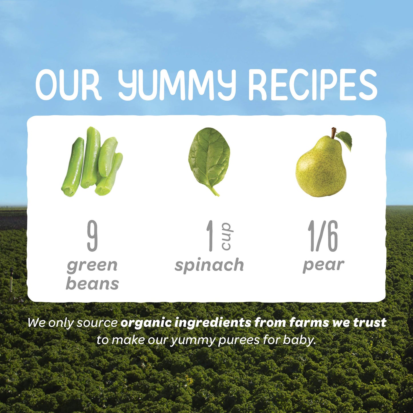 Happy Baby Organics Stage 2 Baby Food Pouches, Gluten Free, Vegan & Healthy Snack, Clearly Crafted Fruit & Veggie Puree, Green Beans, Pears & Spinach, 4 Ounces (Pack Of 16)