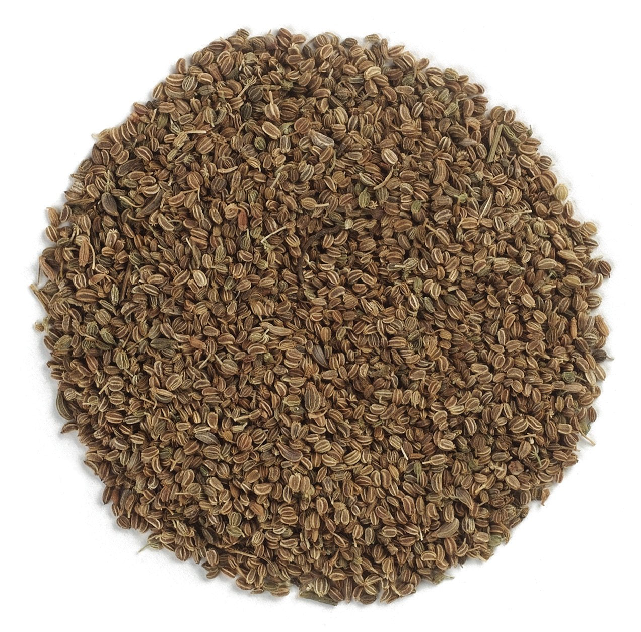 Frontier Herb Whole Celery Seed (1X1Lb)
