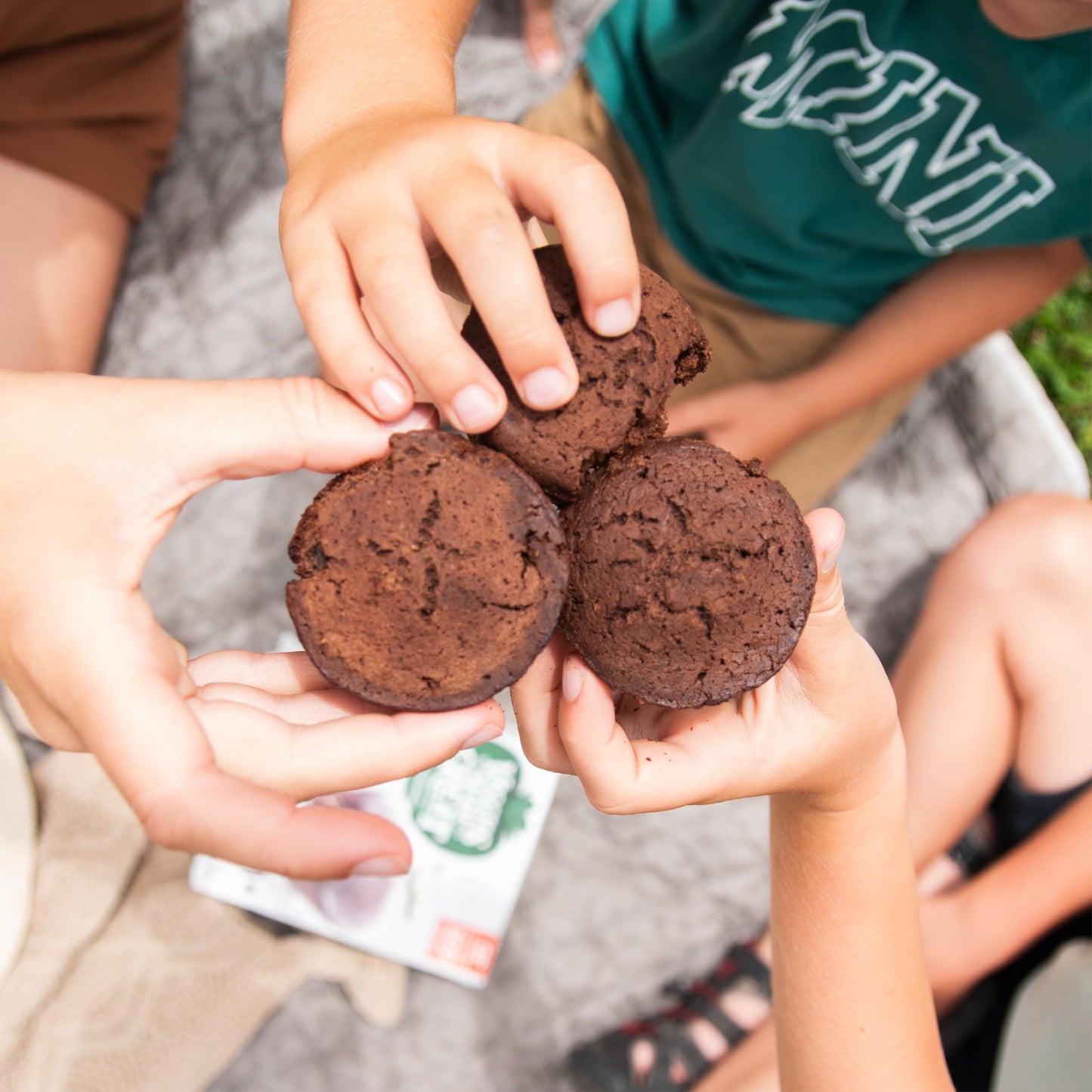 Veggies Made Great, Double Chocolate Muffins, 12 Ounce