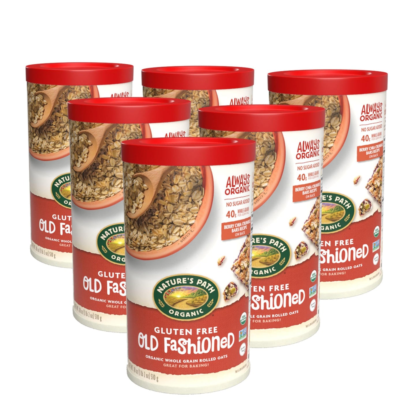 Nature s Path Organic Old Fashioned Oats Oatmeal, 18 oz (Pack of 6), Gluten Free, Non-GMO
