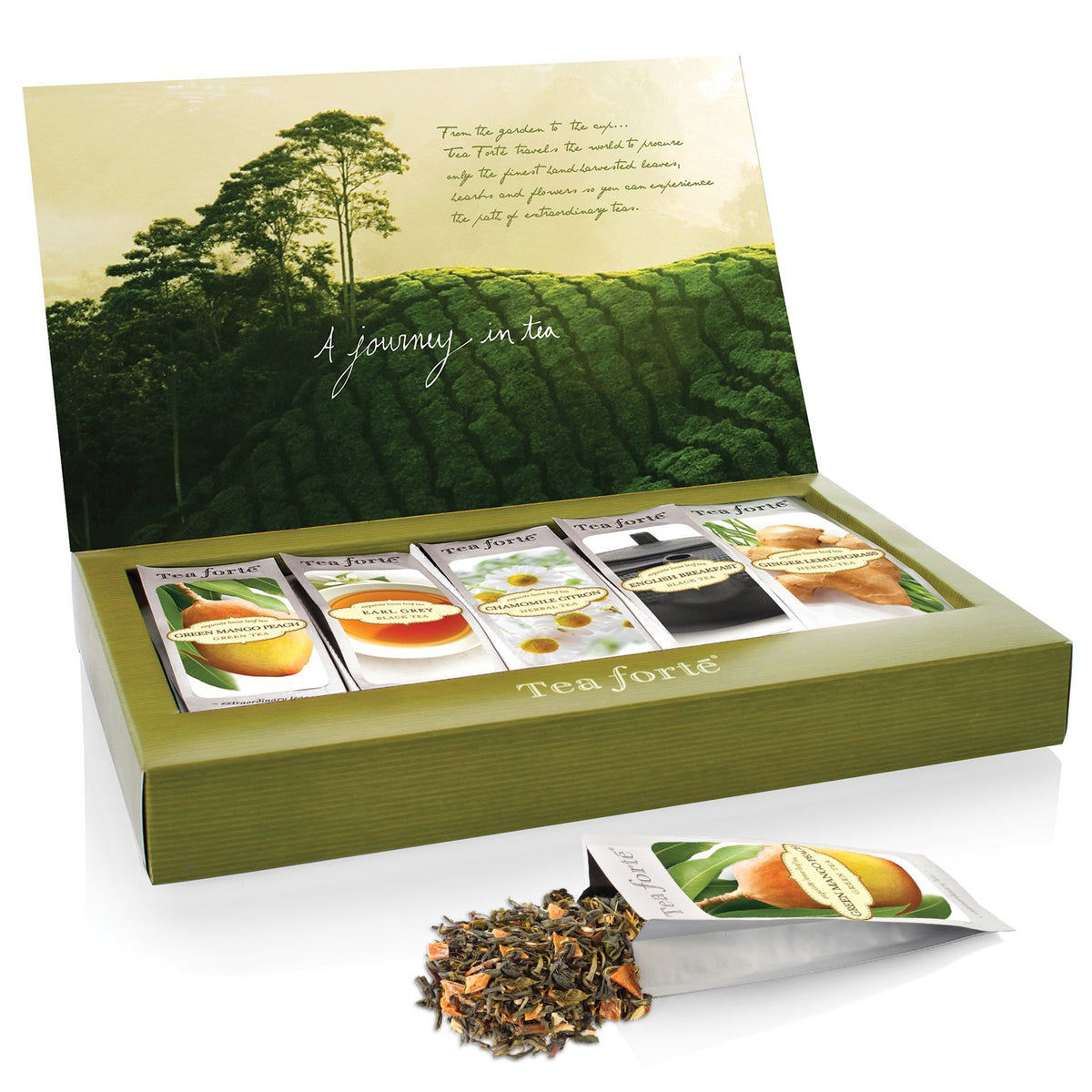 Tea Forte Single Steeps Loose Leaf Classic Tea Sampler, Assorted Variety Tea Box, Single Serve Pouches, 15 Count (Pack Of 1)