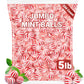 Peppermint Hard Candy 5 Pound Bulk Jumbo Peppermint Candy Balls  Approx 250 Individually Wrapped Mint Balls for Office Bowls  Christmas Candy Jars  and Holiday Party Favors