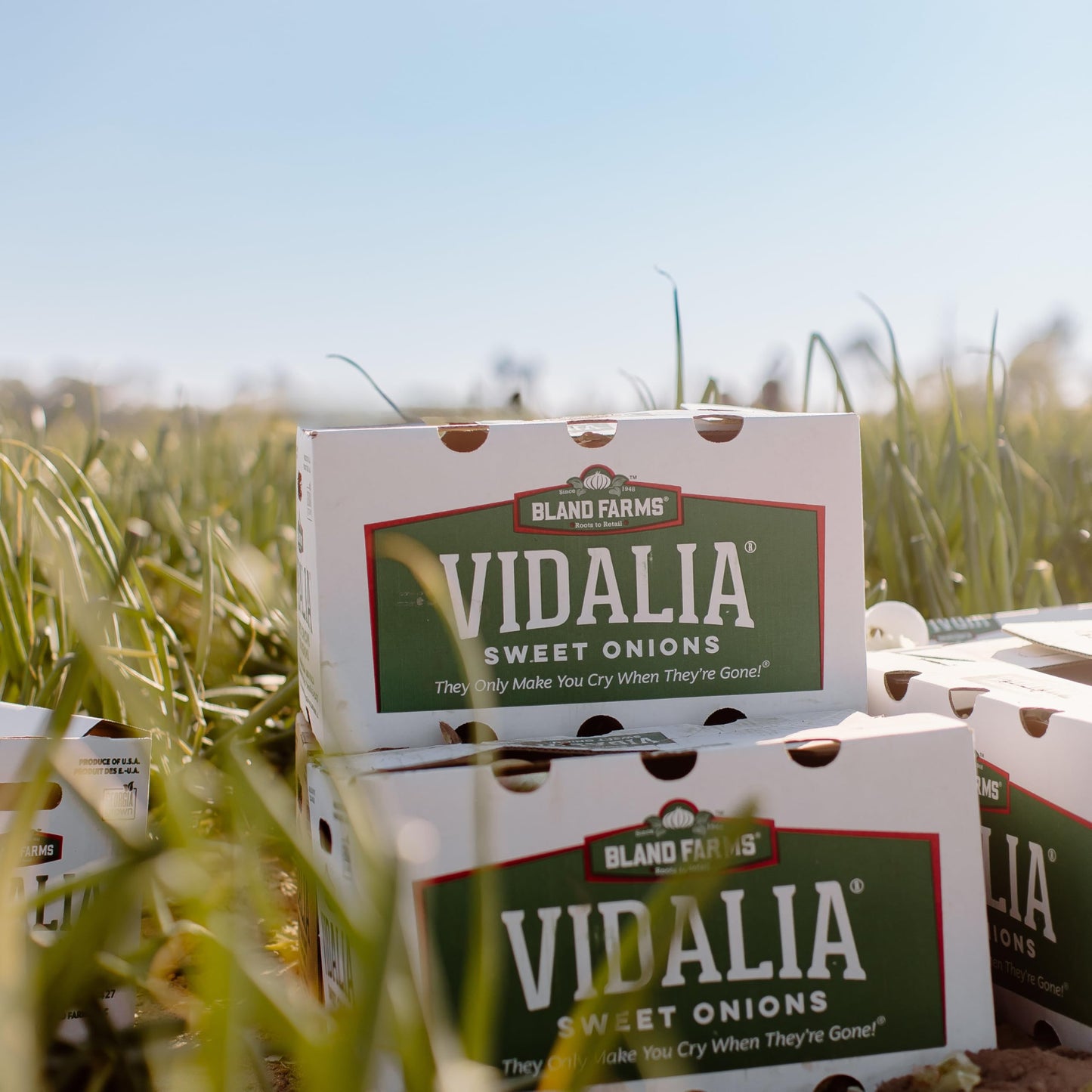 Vidalia Brands Sweet Onion Petals, Baked Crunchy Snack, Made with Real Vidalia Onions, Gluten-Free, Delicious Golden-Baked Chips