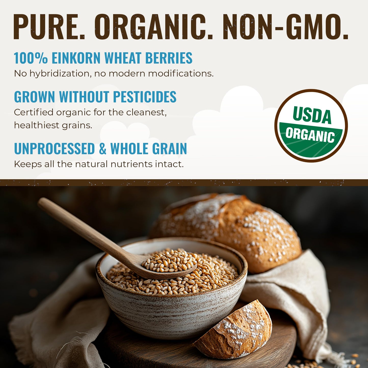 Grand Teton Organic Einkorn Berries - Food-Grade Farro Piccolo for Baking & Cooking, 2.5 lbs