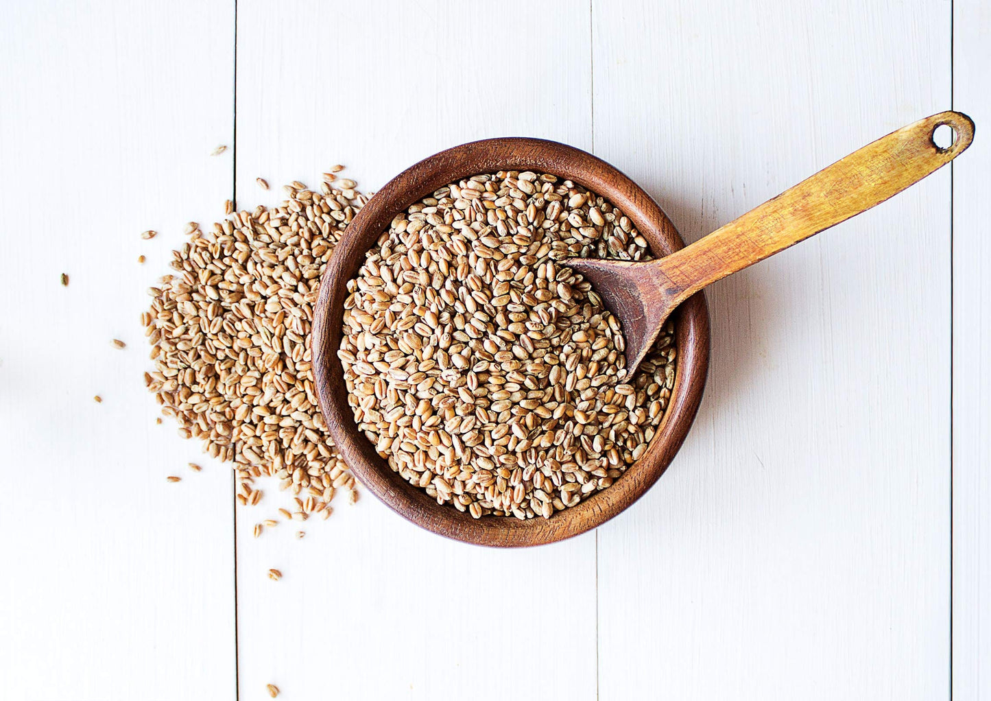 Food To Live - Organic Hard Red Wheat Berries, 10 Pounds Non-Gmo, Kosher, Raw, Sproutable, Vegan, Sodium And Sugar Free