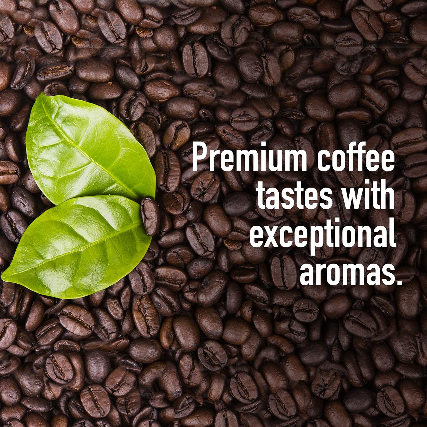 Screen 18 Specialty Grade Enhanced Kenya Aa Coffee Beans, Single Origin, Medium Dark Roast, Whole Beans, 1 Lb