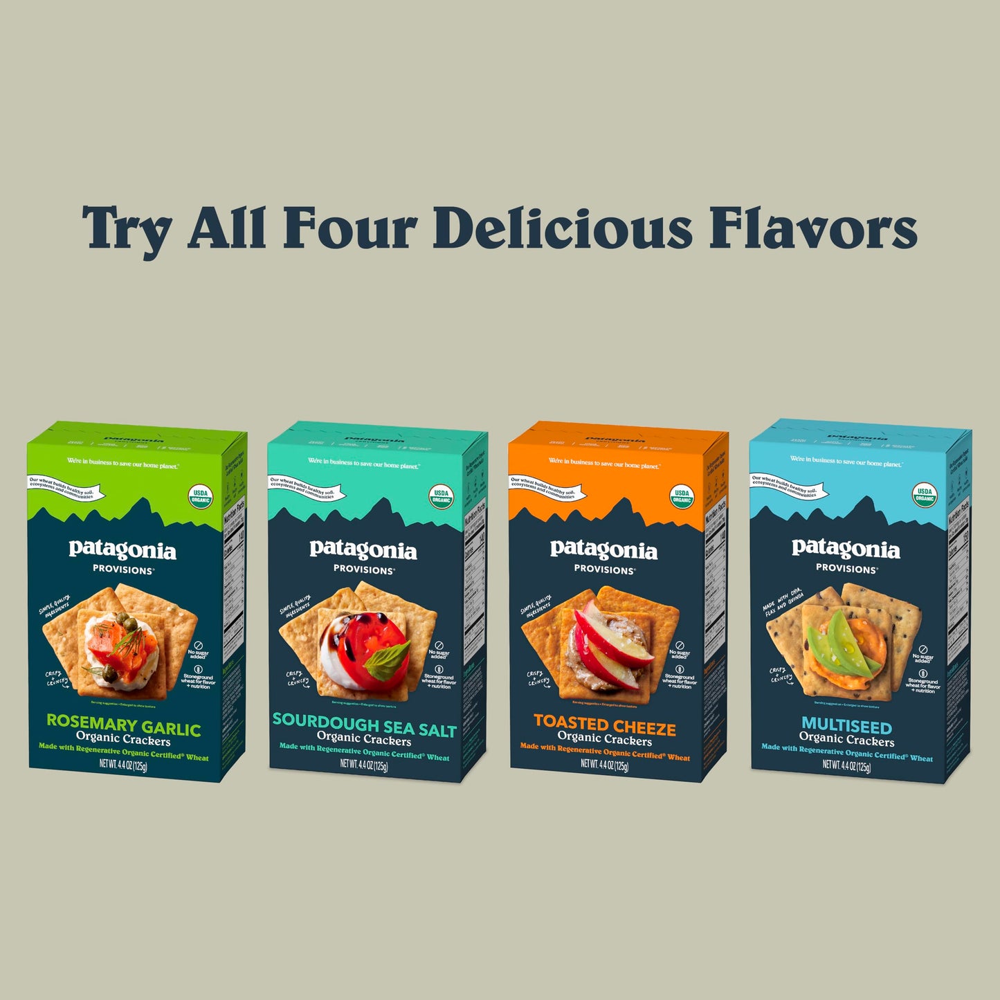 Patagonia Provisions - Sourdough Sea Salt - Certified Organic Crackers - Non-GMO, Plant-Based, No Added Sugar