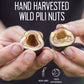 Pili Hunters - Wild Sprouted Pili Nuts, Pink Himalayan Salt, 5oz Bag, Keto/Paleo/Vegan Snacks, Low Carb Energy, Gluten Free, No