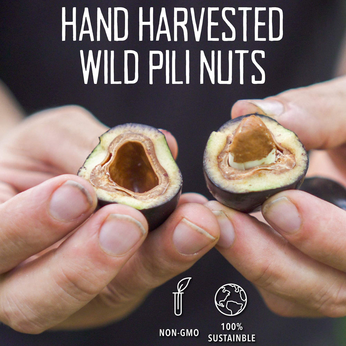 Pili Hunters - Wild Sprouted Pili Nuts, Pink Himalayan Salt, 5oz Bag, Keto/Paleo/Vegan Snacks, Low Carb Energy, Gluten Free, No