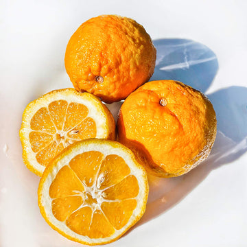 Kejora Fresh Seville Oranges/Bitter Oranges 4 LB