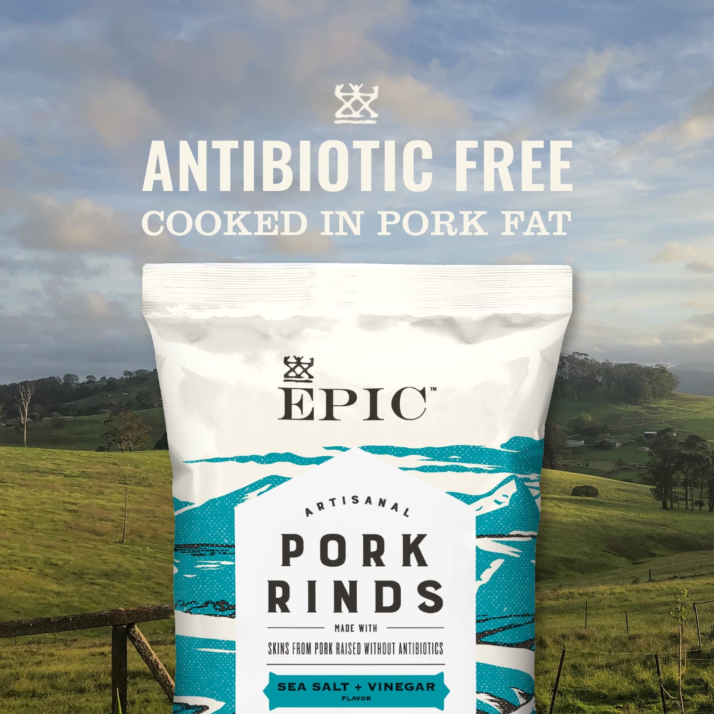 EPIC Sea Salt & Vinegar Pork Rinds, Keto Friendly, 2.5 oz, Oven Baked, Pack of 1