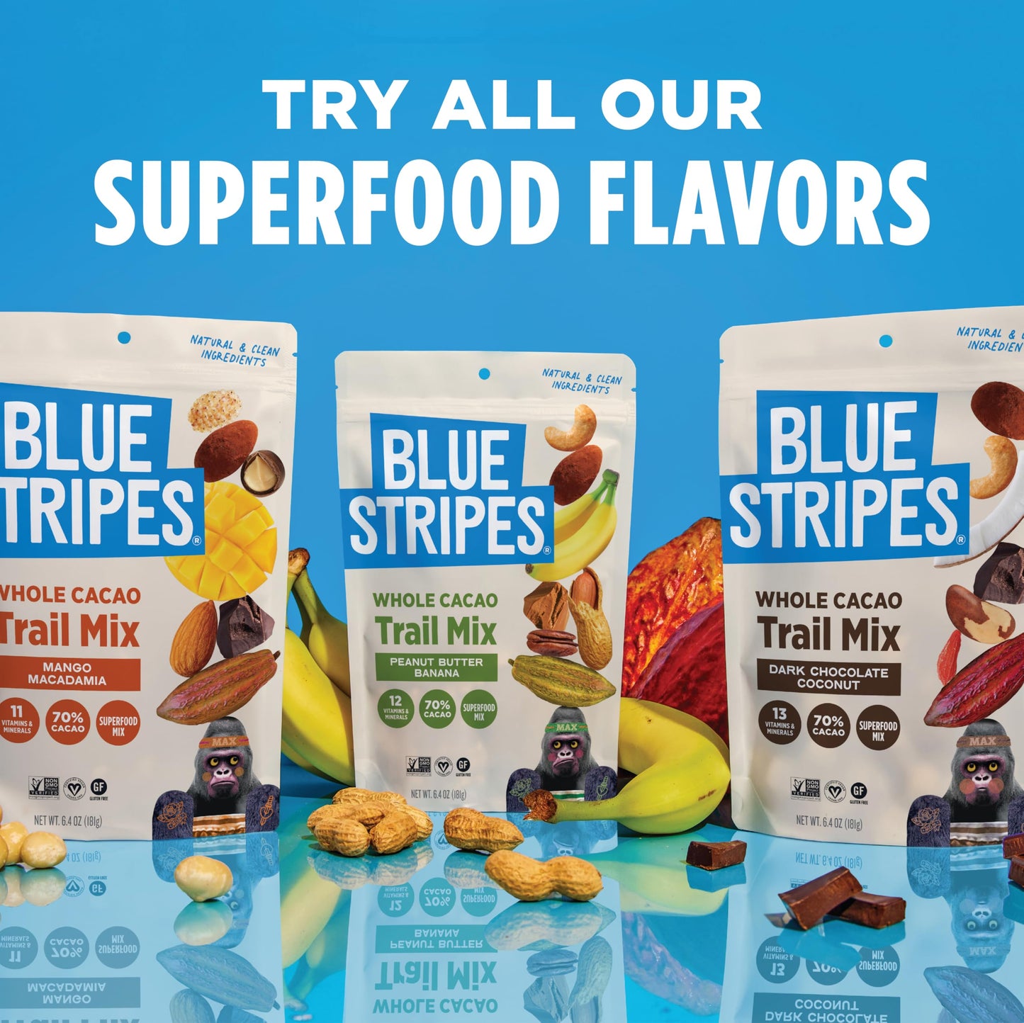 Blue Stripes - Trail Mix, Dark Chocolate Coconut, Mixed Nuts, Healthy Snacks for Adults, Cashews, Whole 70% Cacao, With Unrefine