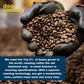 Door County Coffee Frosted Cinnamon Buns Flavored Coffee Ground | 10 Count Single Serve Cups | Medium Roast | 100% Specialty Ara